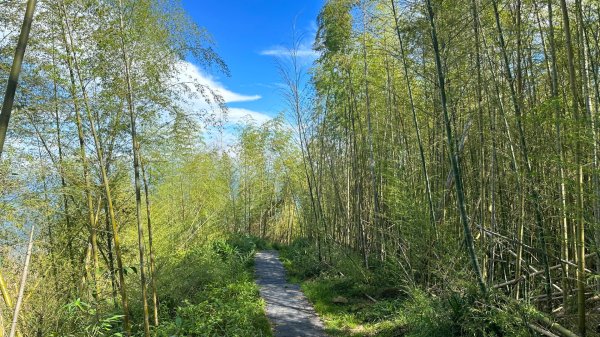 隙頂二延平步道2798975