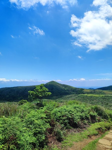 2025台北大縱走二刷2818066