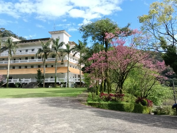 汐止區大尖山櫻花+秀峰瀑布O型3009402