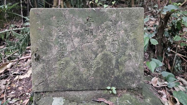 20260220大慈寺參拜道-四十基石-中正山-中正山東南峰3002838