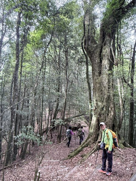 船型山神木悠遊    2025.09.222893820