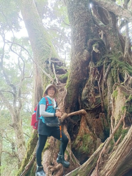 魔幻森林-塔曼山-202508102866566