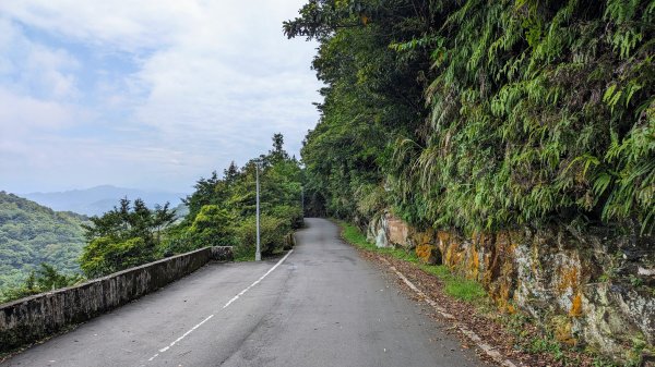 四分尾山,勤進路2515133