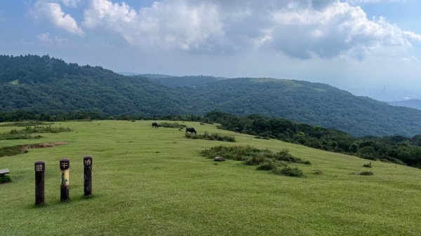 臺北大縱走第三段_登七星而小台北2910361