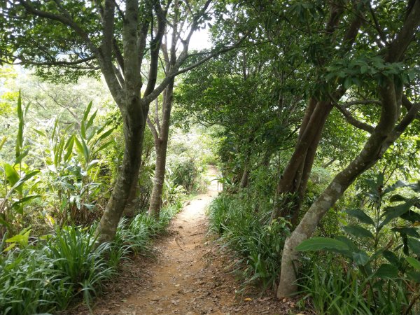 黎和生態公園→富陽自然生態公園→中埔山/東峰→福州山→富陽自然生態公園1438414