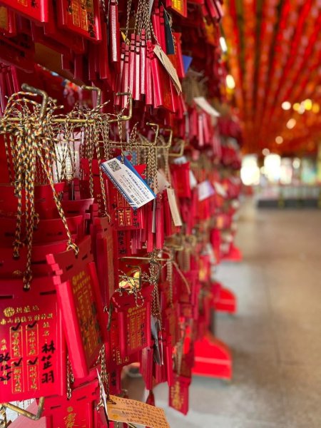 微笑山⛰️線-大棟-二格山-五分山-天上山-鳶山💎12條步道完成💙2841383