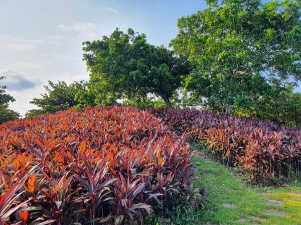 冬山河親水公園1463382