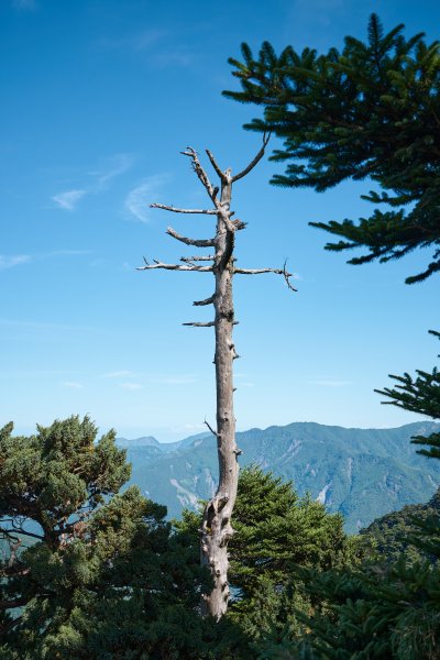 南橫三星兩日包車2882868