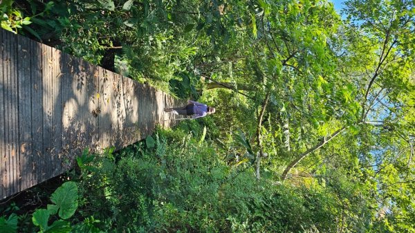 【暑假停課不停走】解鎖第49座小百岳#093都蘭山2822538