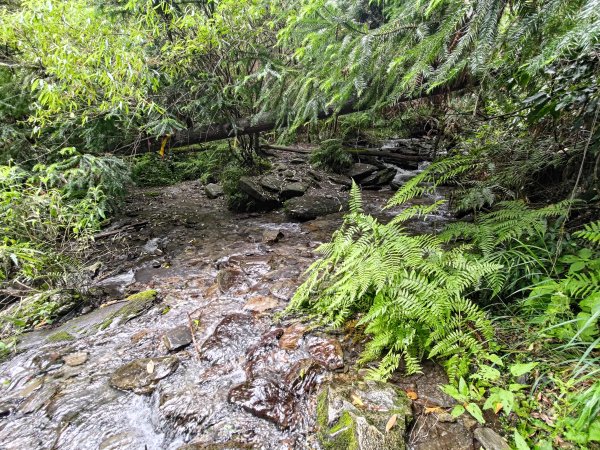 志佳陽大山登山步道2520081