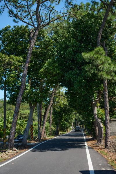 飛鳳山步道 (代勸堂上竹林路下)1886060