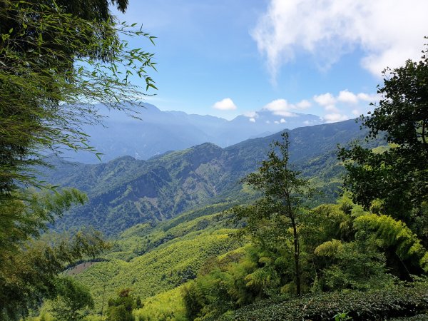 南鳳凰山－嶺頭山－忘憂森林－留龍頭1032795