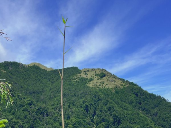 ~ 池 有 山 / 品 田 山 ~2854058