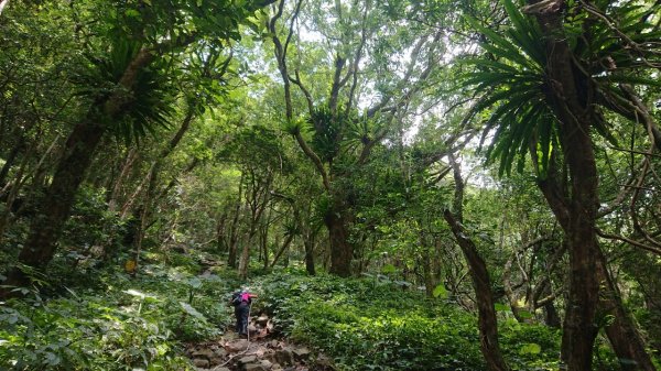 組合山連走滿月圓山O走1044570