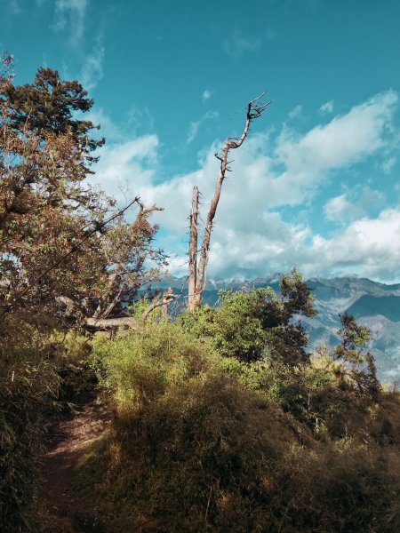 勝光山➜雲稜山莊新手練腳團786345