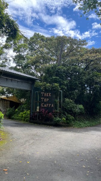 微笑山線_樹鶯縱走2852884