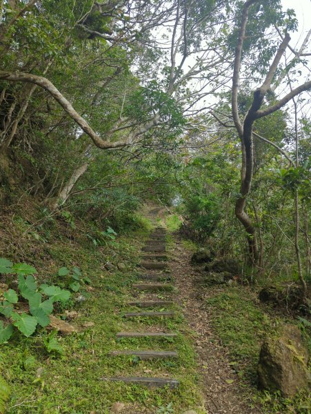 2025.02.27－月眉山2727906