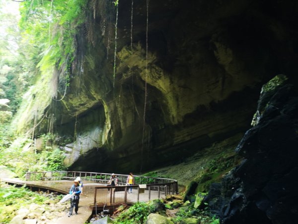 三民蝙蝠洞915613