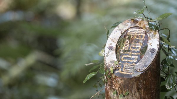馬胎古道 （馬胎一期、南坪古道、內灣老街）3073788