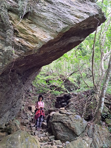 砂卡礑二日行D2：大同部落→千里眼山→砂卡礑步道→小錐麓步道→遊客中心202312032368724