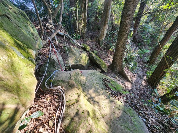 20250323慈湖草嶺山 ~ 五寮尖2781016