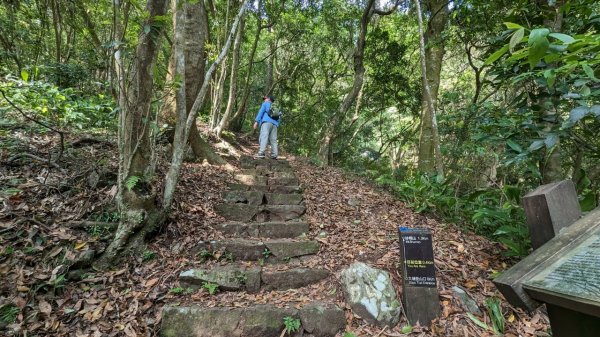 112.05.01走遍陽明山尋寶任務之紗帽山步道2138970