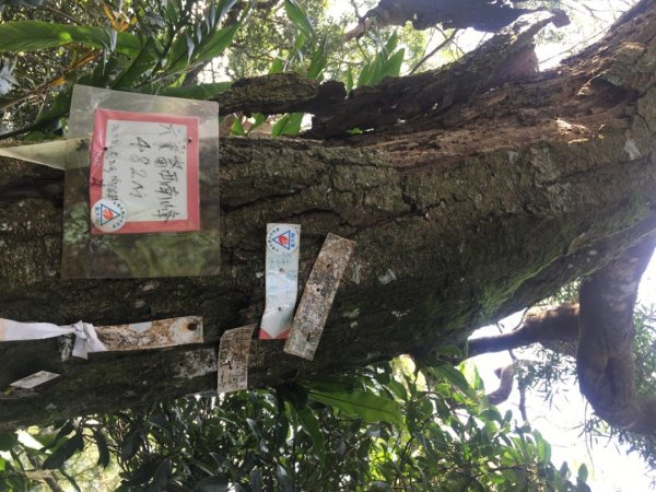 六寮崙山、雞罩山、白雞山8字走2371100