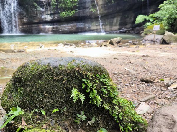 20250927微笑山線：【五分山系】望古瀑布段2896137