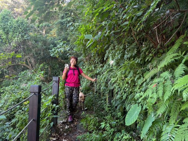 雙崎埋伏坪山歩道、鯉魚潭水庫、大峽谷2938936