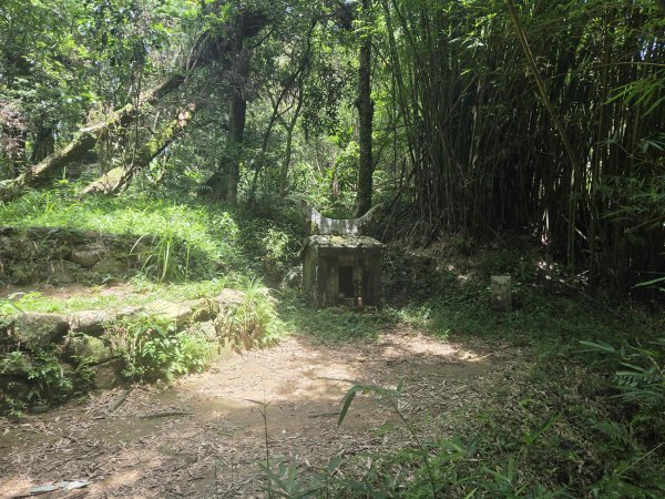 20260623中坑古道-仿山坑古道-火燒寮古道徹退3079471