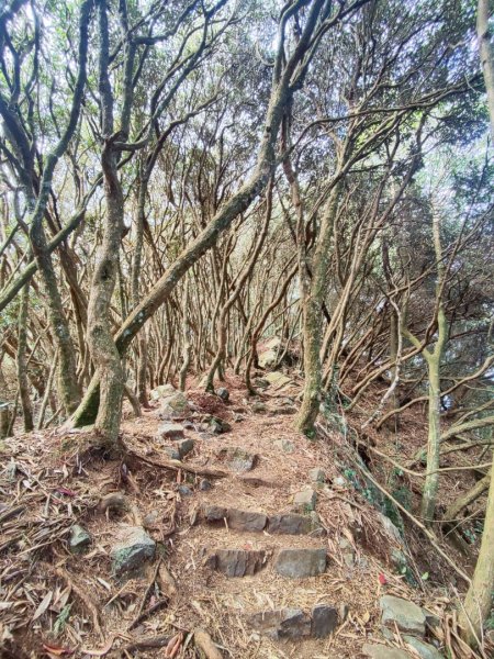 橫沙笛縱走2668683