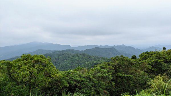 四分尾山,勤進路2515129