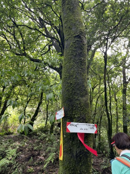 司公髻尾山2802984