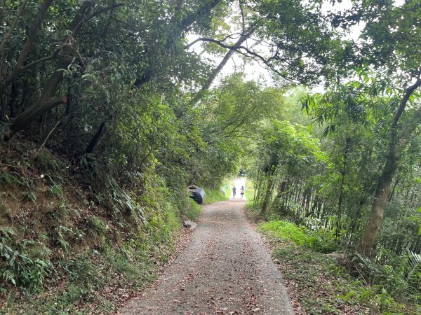 [皮皮獅Hike客任務-02/10] 2024_0720 渡南古道+飛鳳古道2557082