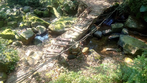 春天鮮綠的呢喃基隆荖寮坑古道上望古山登五分山O型2747316