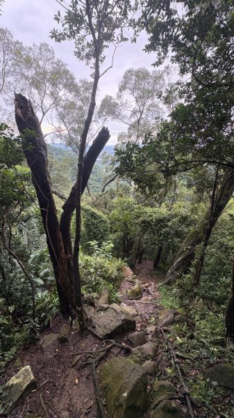 大雨後🙄2845396