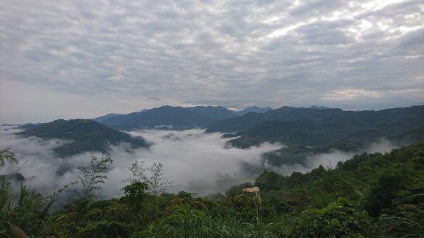 馬那邦山登山步道珠湖918321