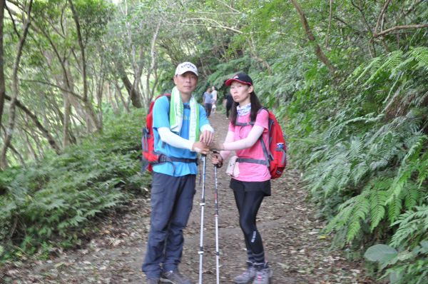 聖母山莊登山步道152618