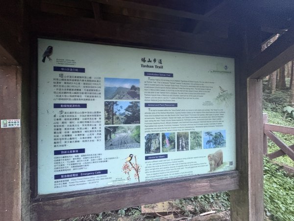 20251225塔山步道(大塔山)2970274