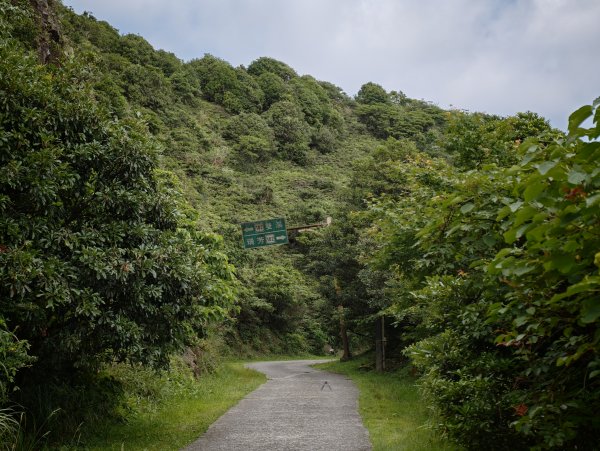 [淡蘭古道] 2026_0531 北路第一段_燦光寮古道(上)-草山戰備道3070672