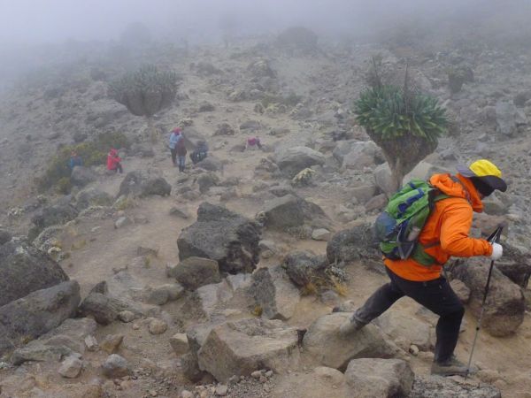 非洲最高峰吉力馬札羅山攻頂紀實235749