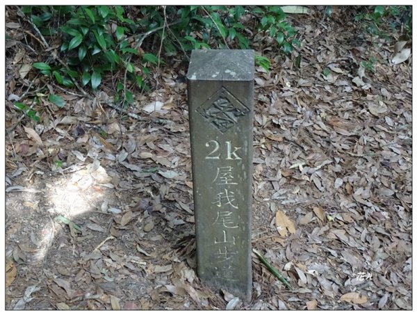 屋我尾山 北登山口 (大雪山林道31.3K)2985533