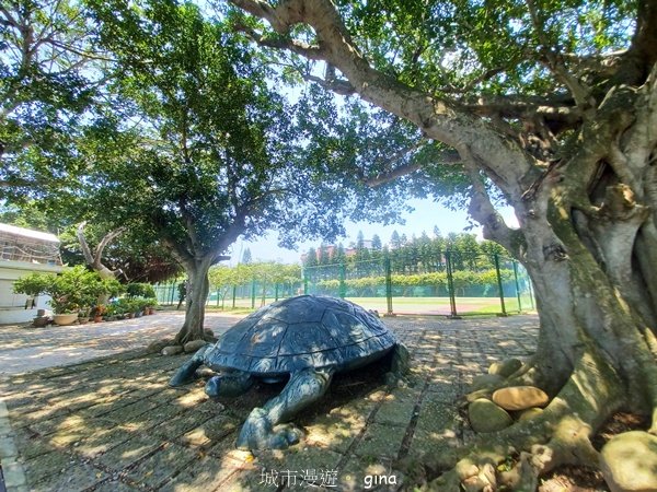 【台中大甲】規劃完善的親民步道。 桂花泉登山步道2862473