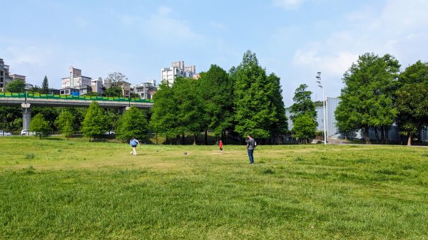 內湖,大湖,康寧,東湖2498593