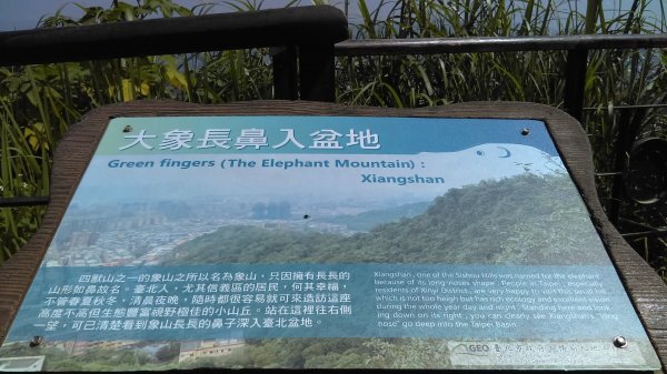 【臺北大縱走6】象山南港山縱走九五峰虎山942813