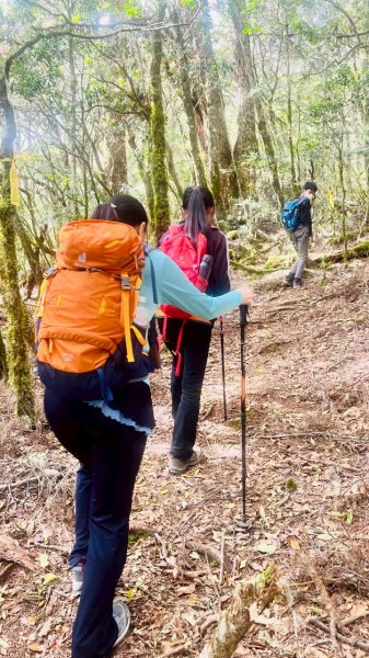 🌈4/19(六)~中橫小百岳-卡拉寶山+百岳~石門山FB：熊熊趴爬走🌈2765880