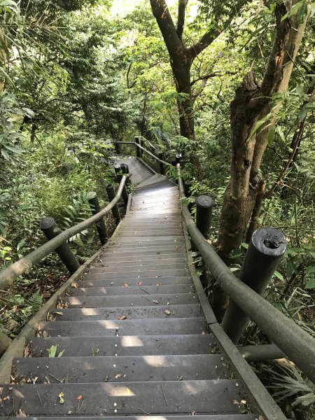 五股觀音山-硬漢嶺+北橫古道1494454