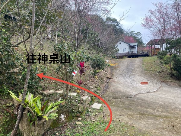 坐公車接駁的神仙縱走2707440