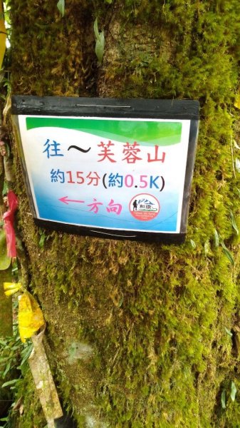 頂湖五連峰499837