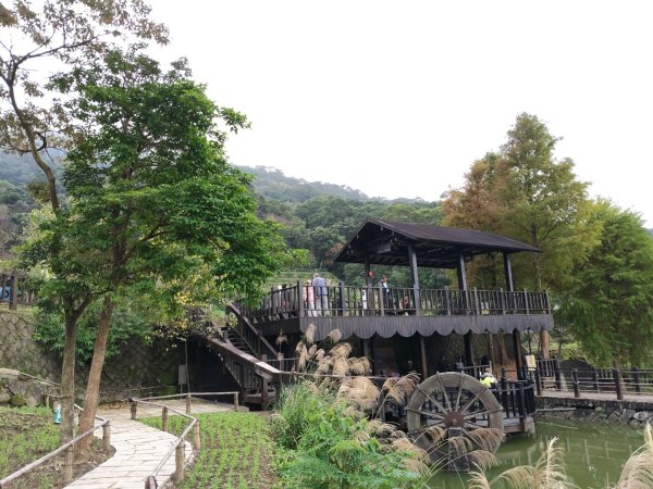 微笑山線：【二格山系】銀河洞越嶺段2959977